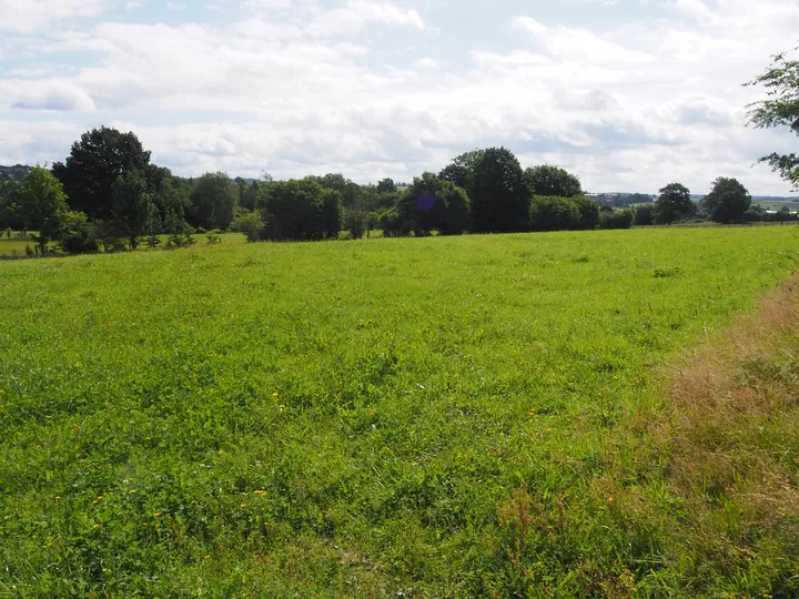 Ferme de la Planche (Blote voeten pad) (België)